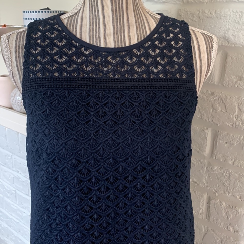 Loft Navy Blue Lace Overlay Sleeveless Dress - Picture 3 of 9